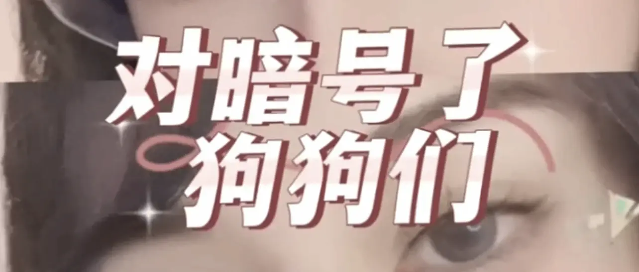西檬之家字母圈入圈指南:新手必知的秘密与技巧 一