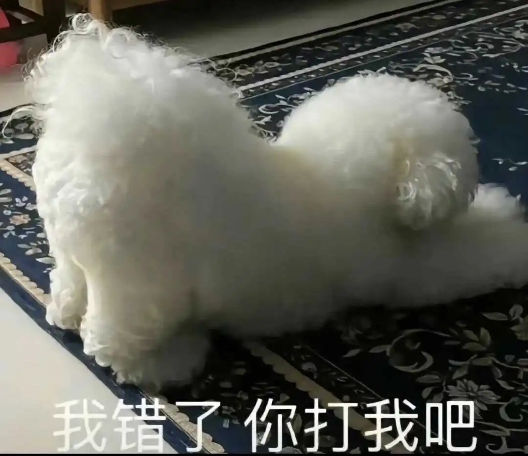 西檬之家恋物癖是什么?字母圈新人基础科普 一