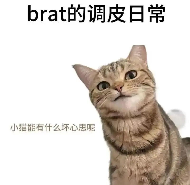 西檬之家SM是什么意思?你的字母圈属性是什么? 一