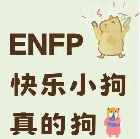 西檬之家brat属性是什么? 一
