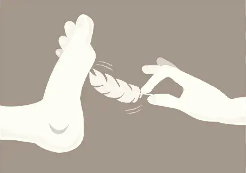 西檬之家字母圈中的TS是什么? 一