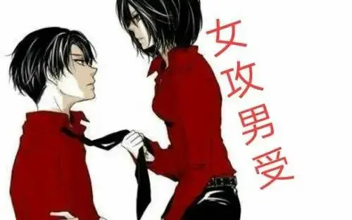 西檬之家字母圈switch是什么意思? 一