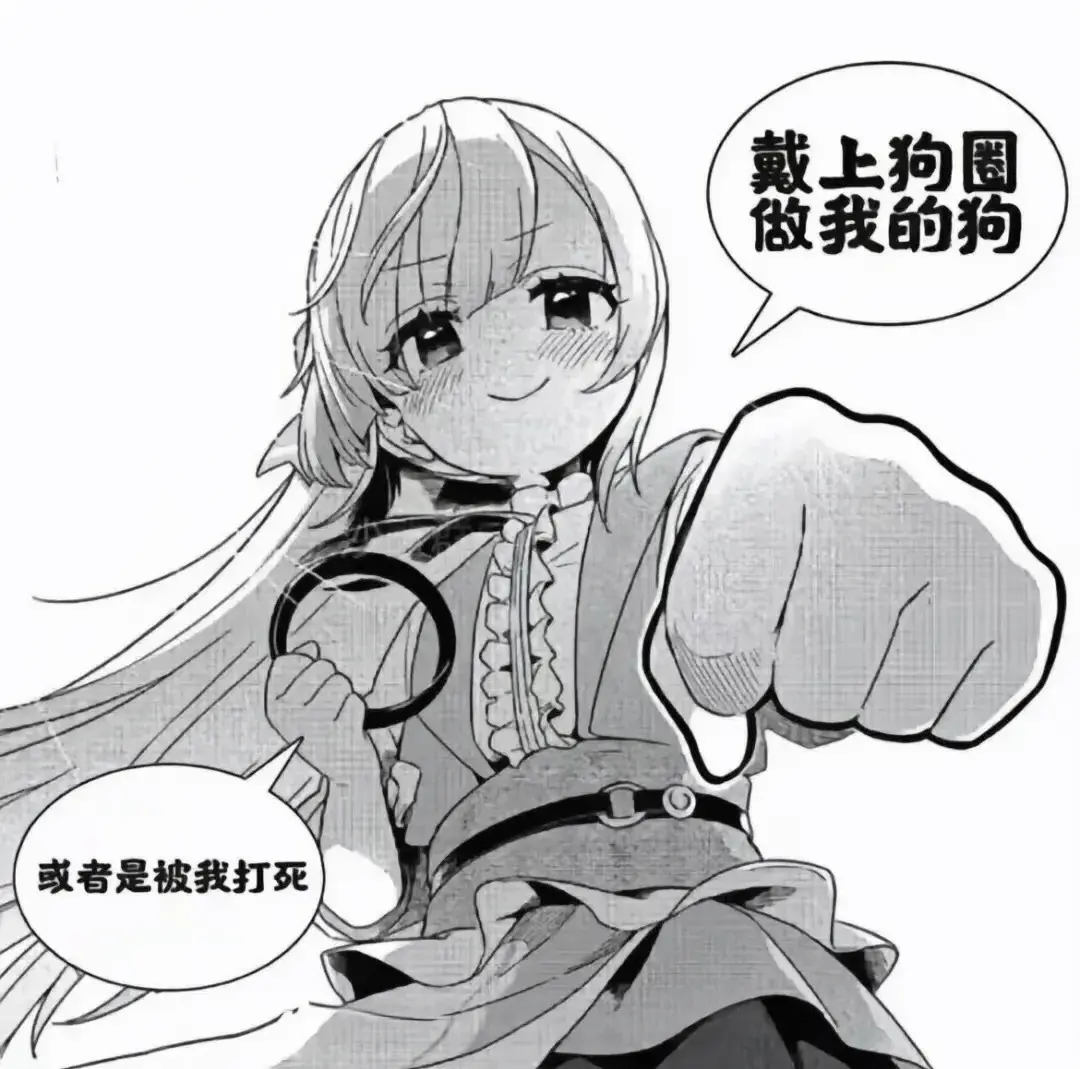 西檬之家字母圈s属性是什么? 一