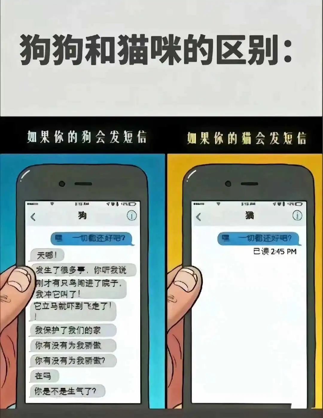 西檬之家BDSM入门指南 一