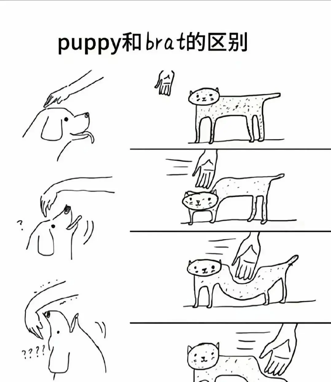 西檬之家BDSM入圈新手必读指南 一