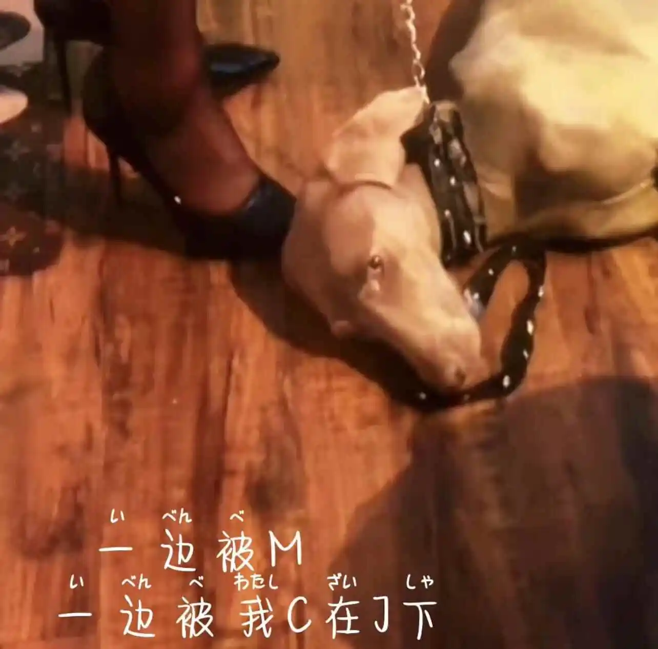 西檬之家sm亚文化是什么?新人如何入门 一