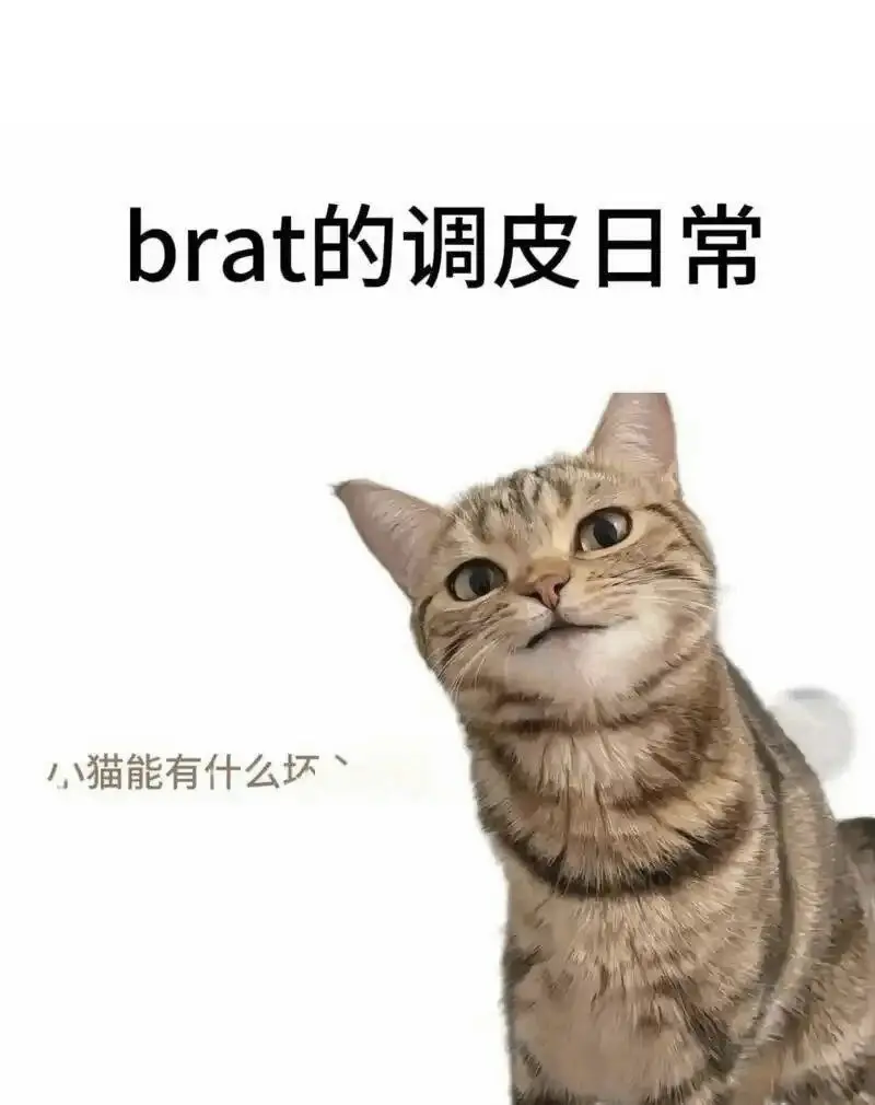 西檬之家m倾向是什么?字母圈新人必知 一