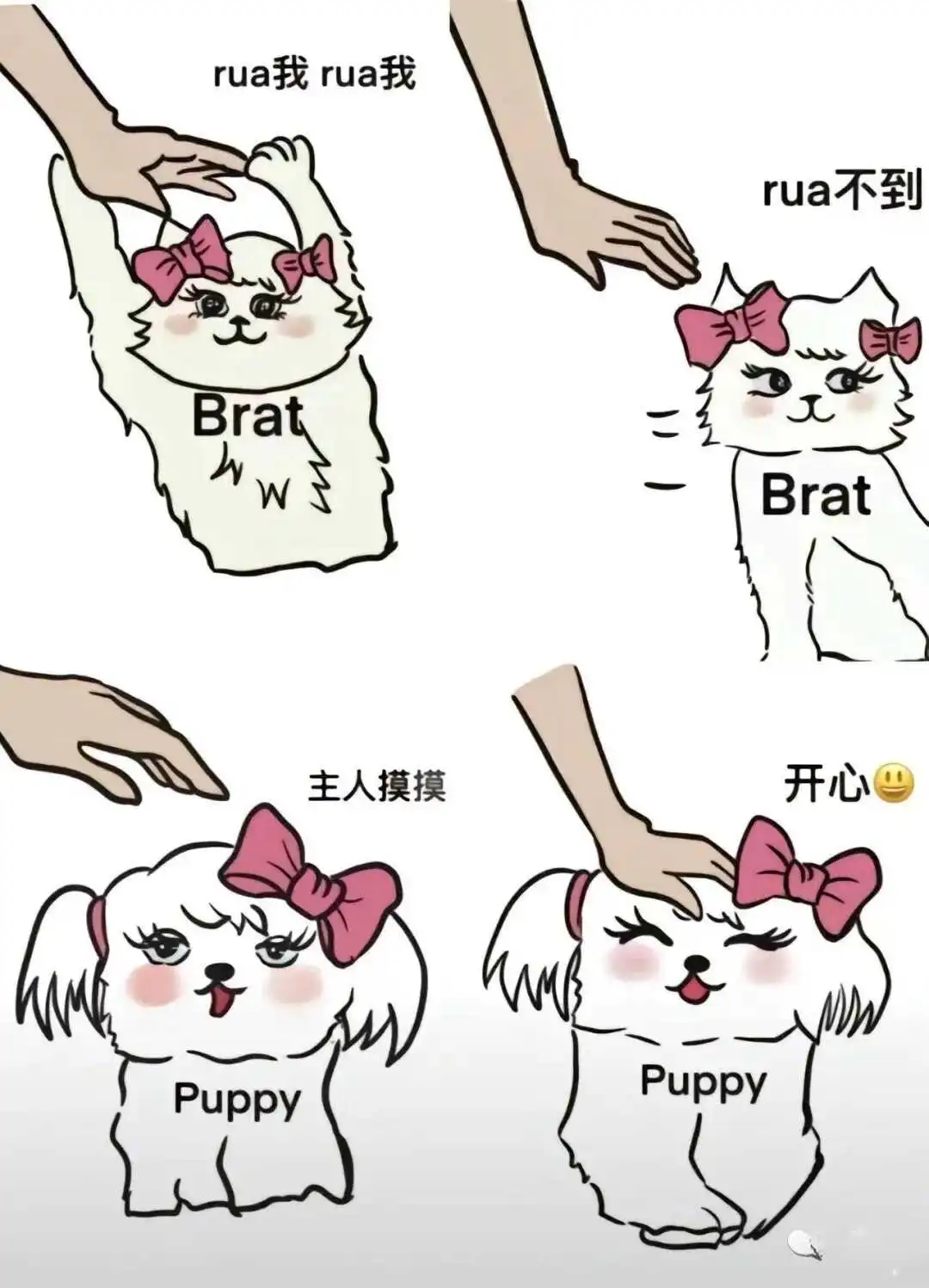 西檬之家字母圈的大圈是什么? 一